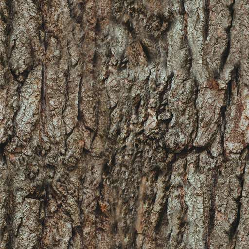 Tree branch is a royalty free texture in the category: seamless pot wood tileable tree branch pattern