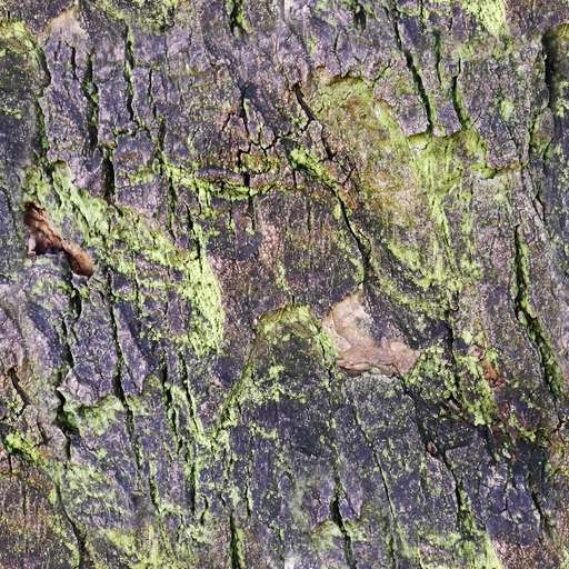 Mold dark bark tree is a royalty free texture in the category: seamless pot tileable tree dark bark pattern nature mold